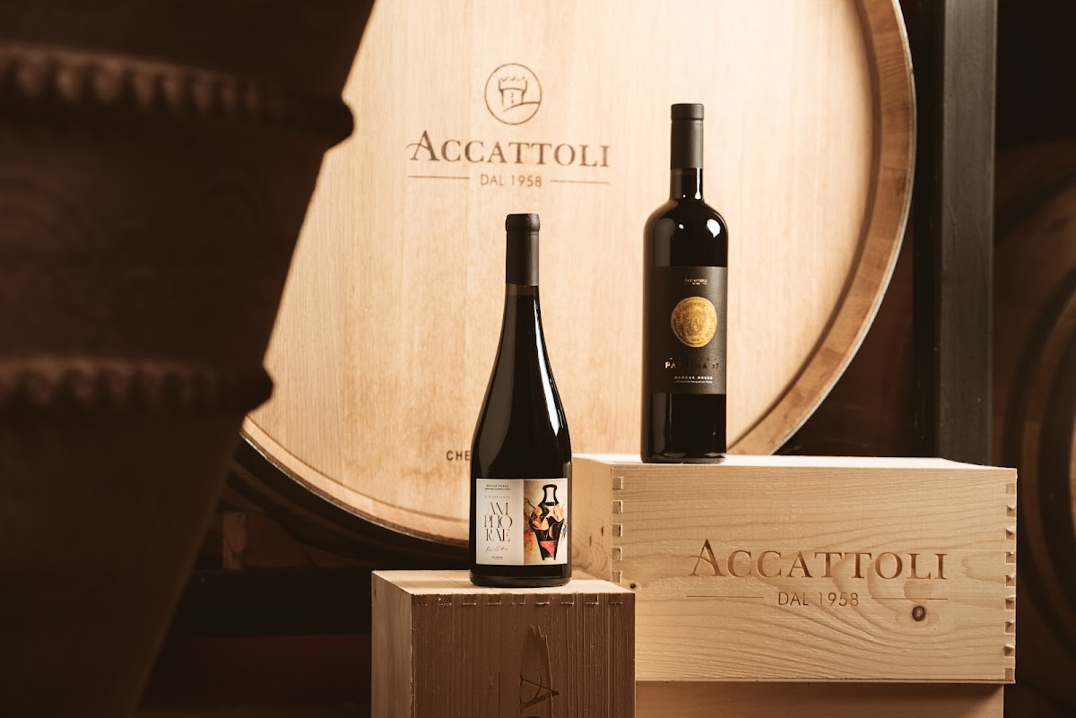 Vini Accattoli srl — Punto di interesse a Ancona, Ancona