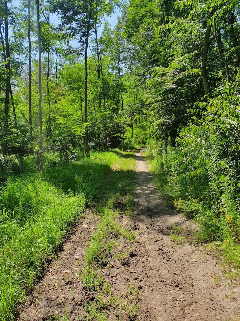 Bosco delle Faggiole