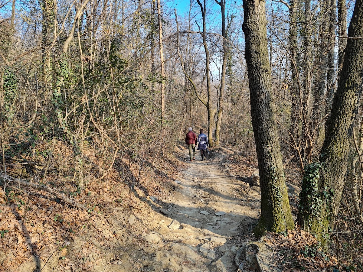 Sella di Madonna del bosco — Punto di interesse a Bergamo, Bergamo