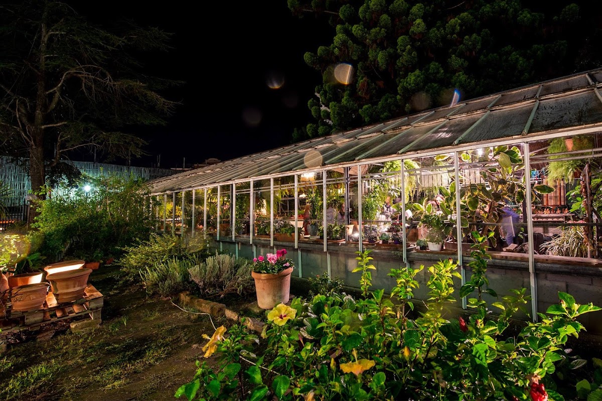 Vivaio Ruoppo - Sorrento Lemon Farm