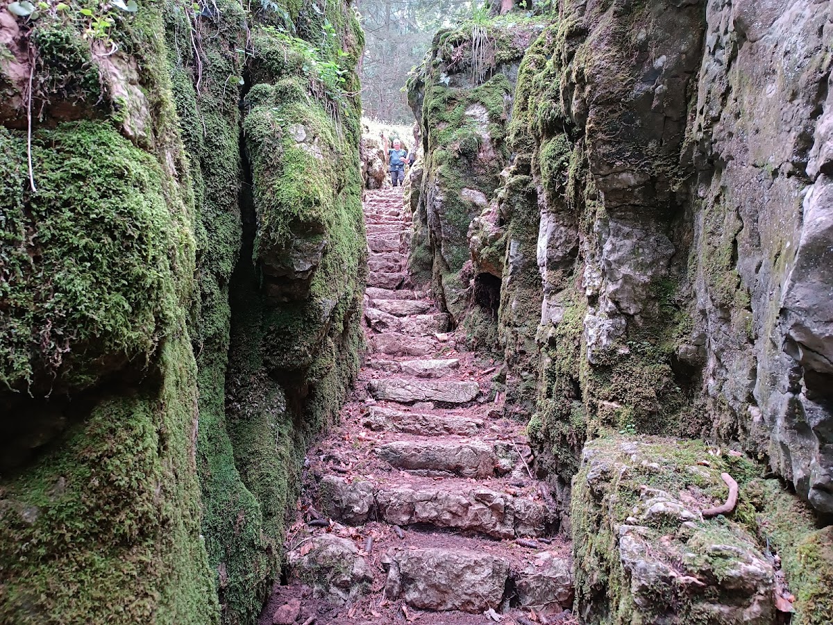 Sentiero delle Trincee e Forra del Lupo - Wolfschlucht