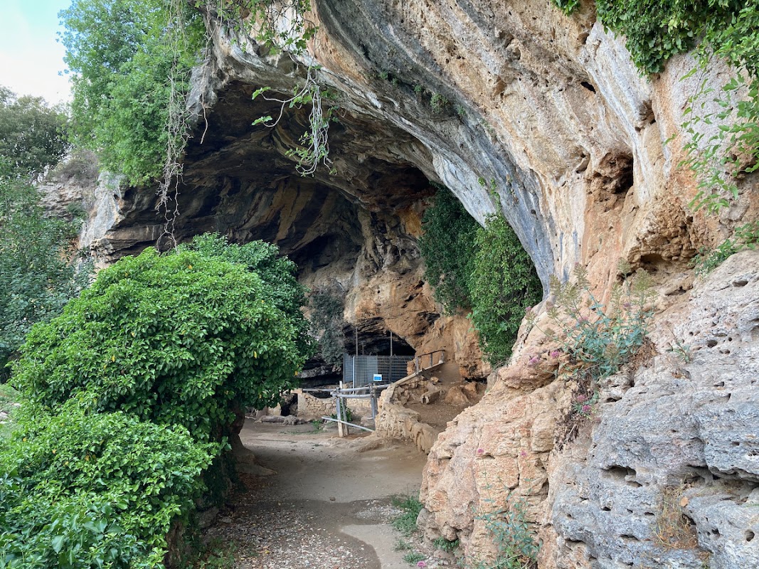 Arma delle Mànie