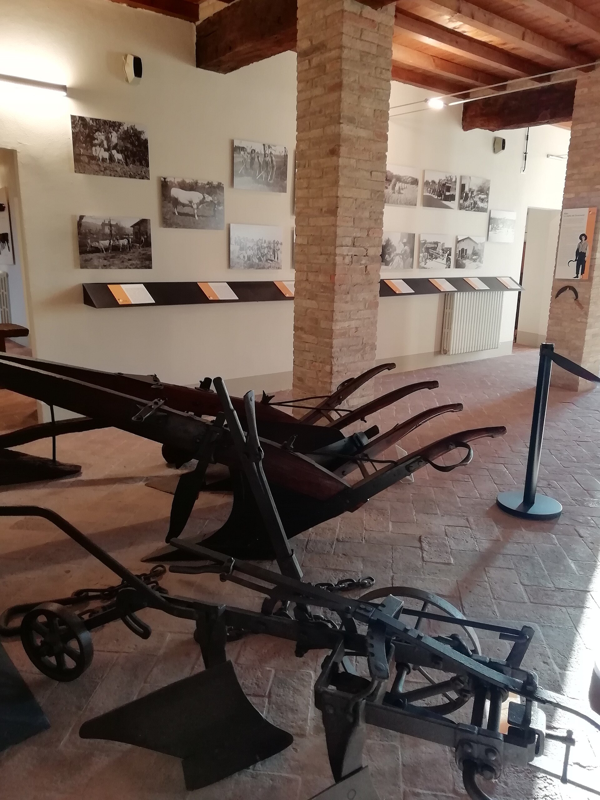 Museo del vino e della società rurale "Rosso Graspa" — Punto di interesse , Venezia