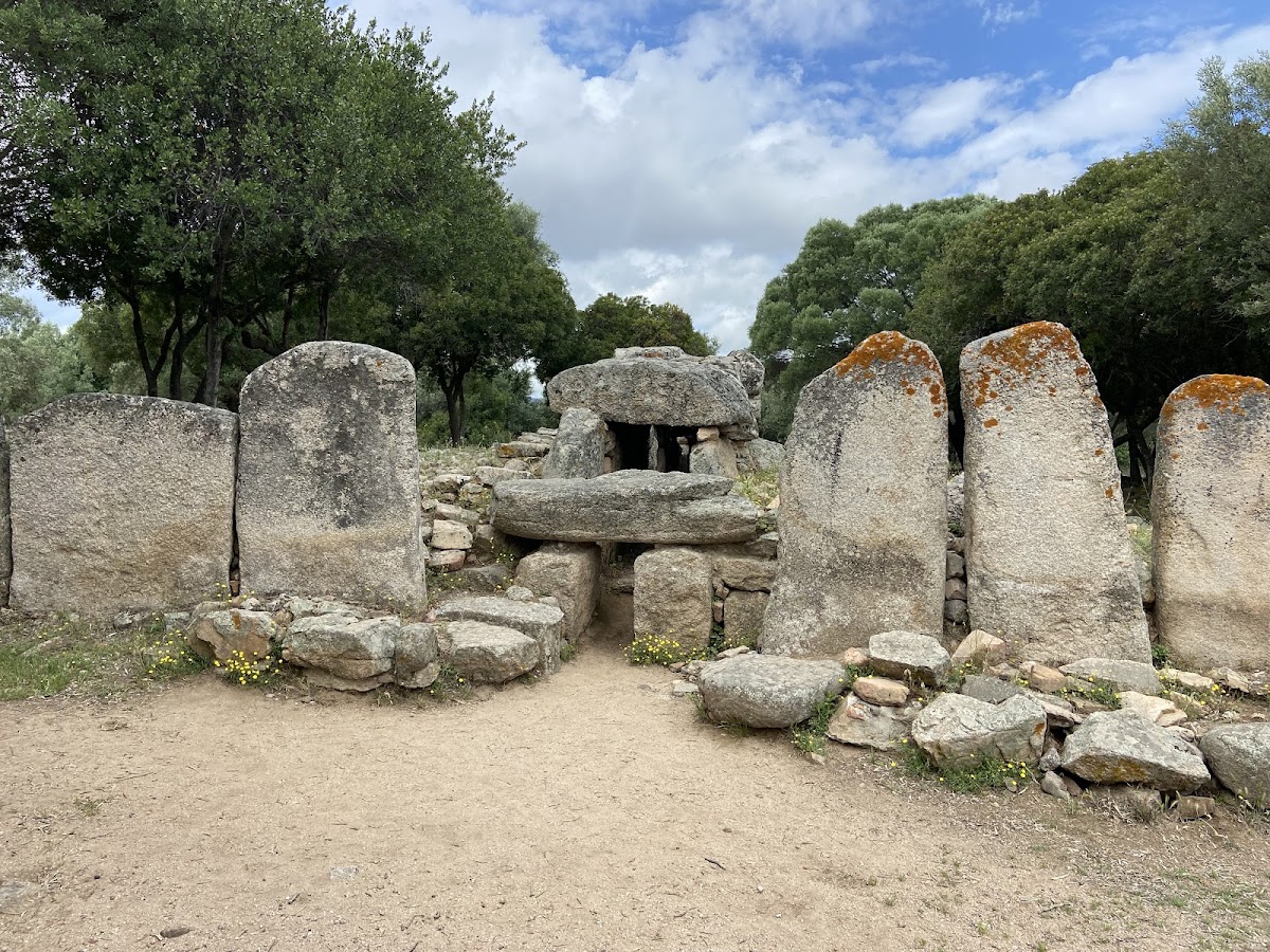 Tomba dei Giganti Su Monte 'e S'Abe — Punto di interesse a Olbia, Sassari