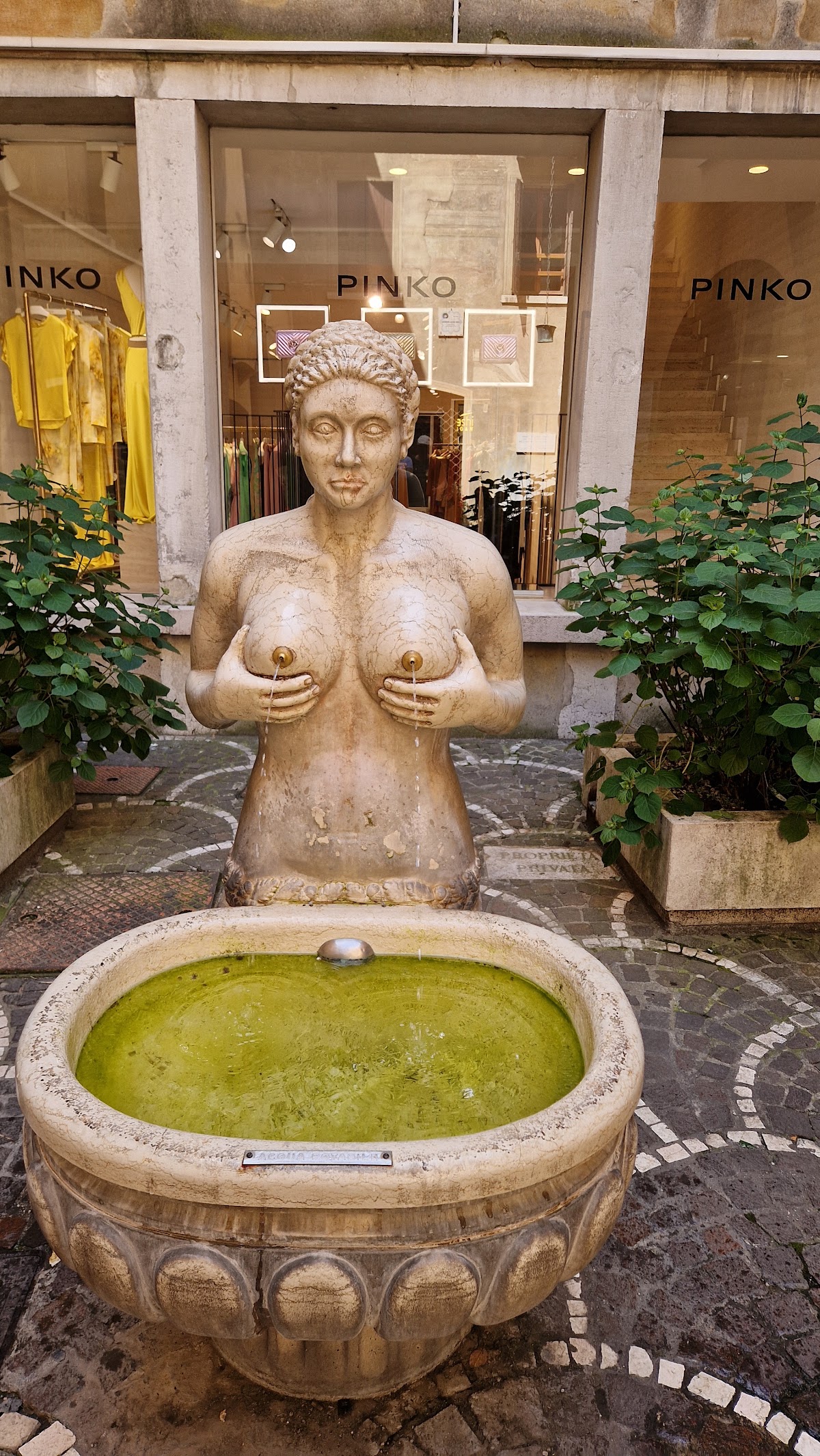 Fontana delle Tette — Punto di interesse a Treviso, Treviso