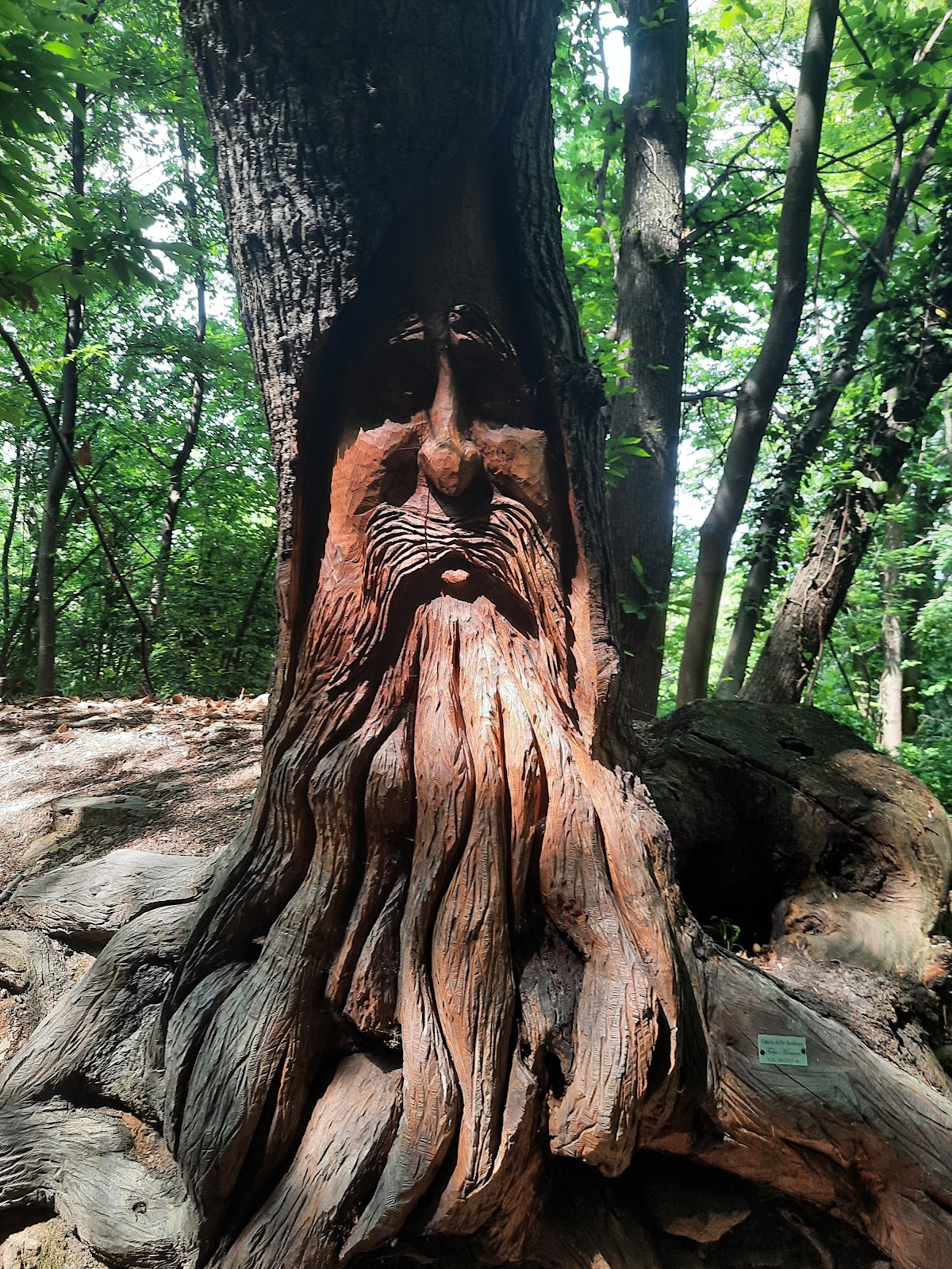 Parco Naturale della Rocca di Cavour — Punto di interesse
