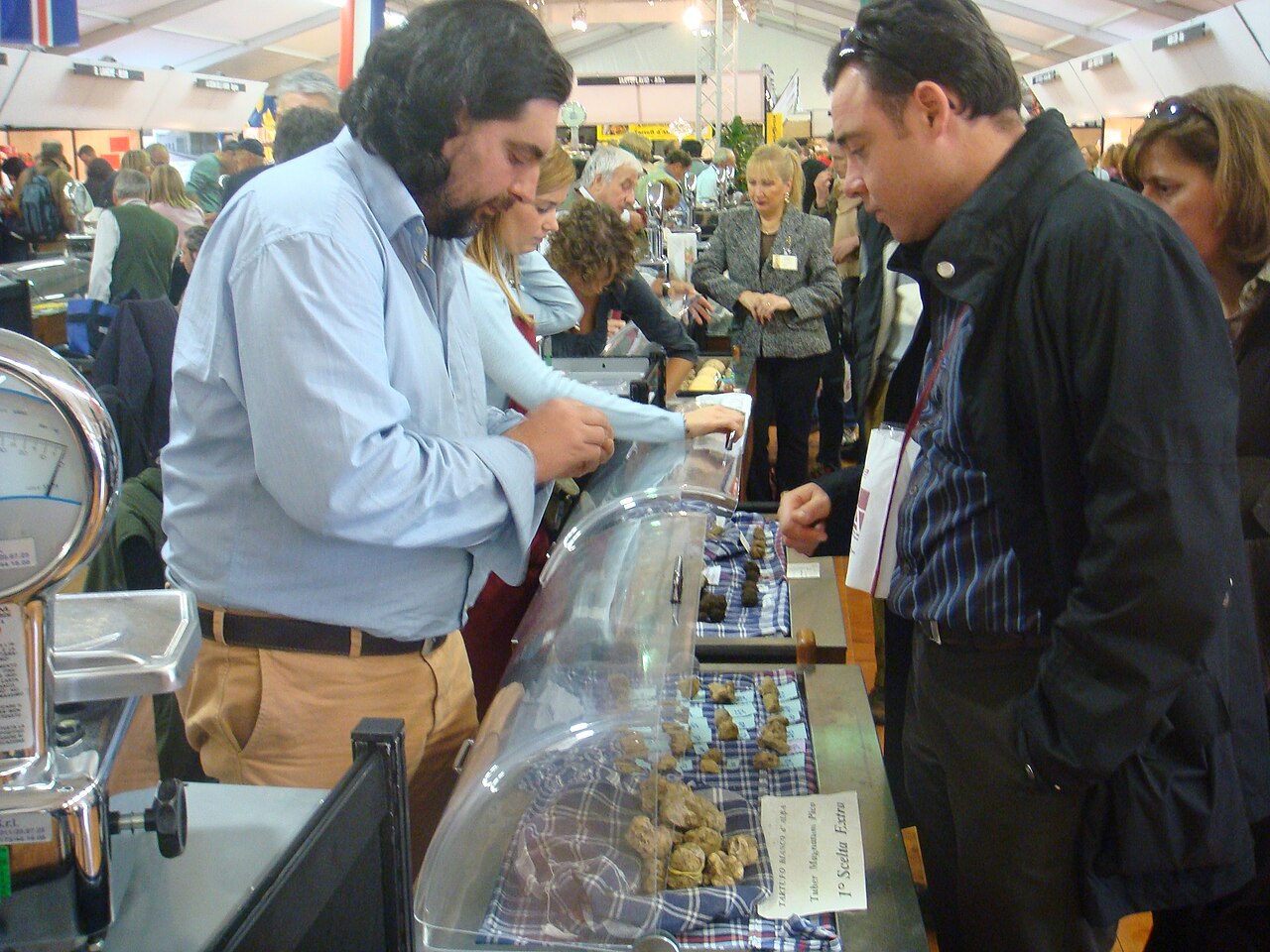 International Alba White Truffle Fair — Festival in Alba, Cuneo