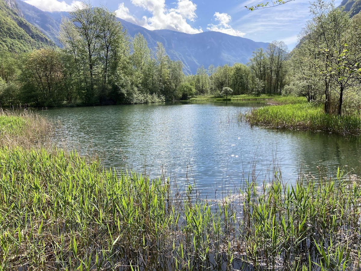Riserva naturale provinciale Fontanazzo — Punto di interesse a Rovereto, Trento