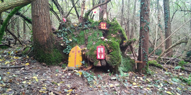 Percorso Ex-Guidovia del Santuario della Madonna della Guardia