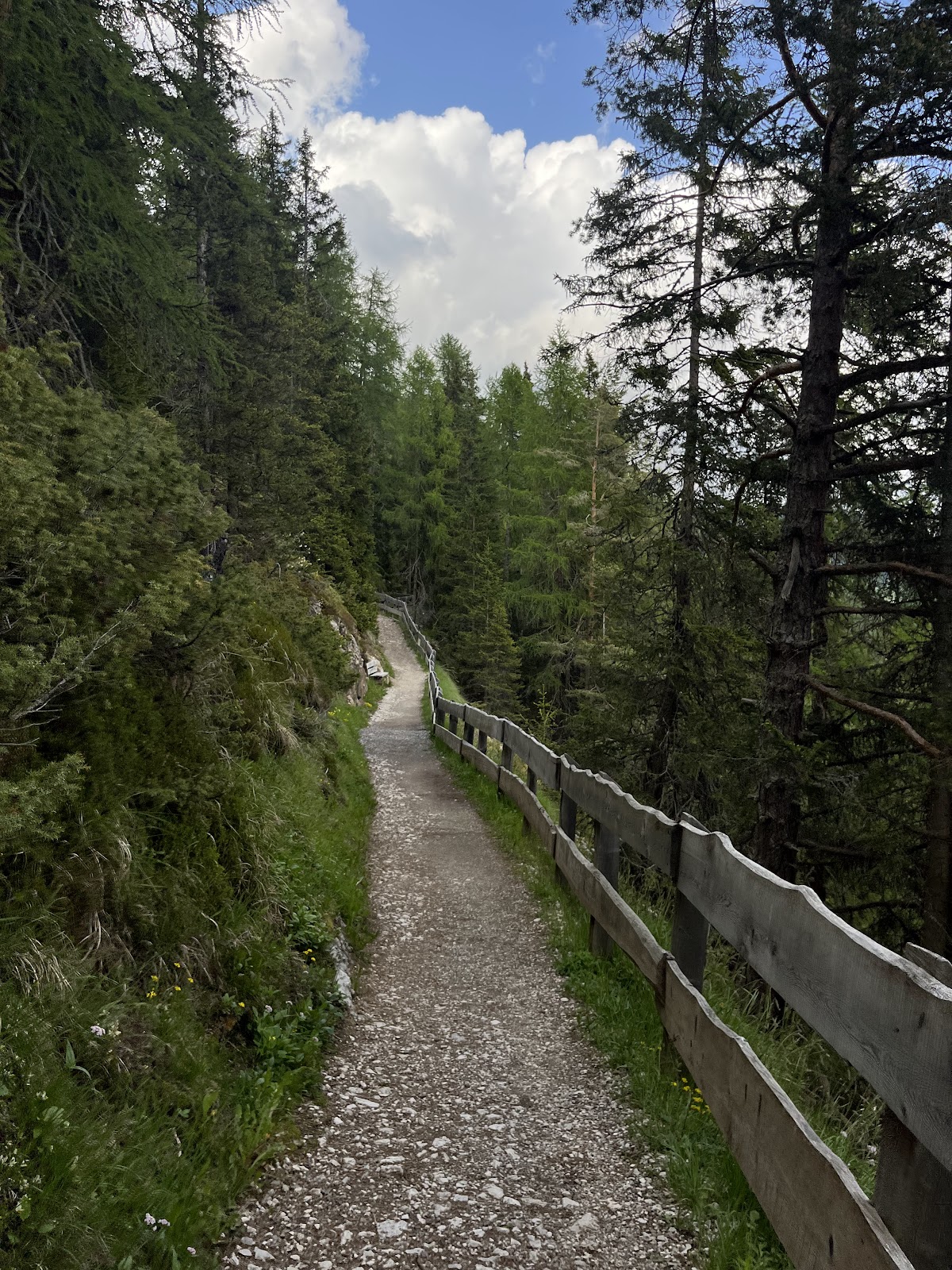 Sentiero degli scoiattoli "Troi dla Schirlates". — Punto de interés in Ortisei, Bolzano