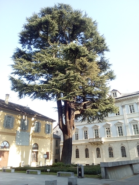Cappella Mellerio — Punto di interesse a Domodossola, VCO