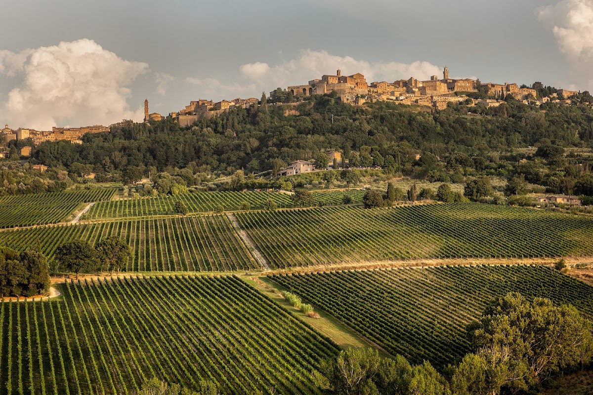 Azienda Agricola Canneto — Punto di interesse a Montepulciano, Siena