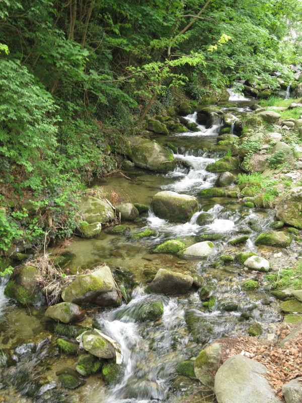 Torrente Albetta
