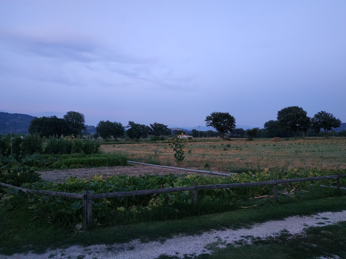 Agrifattoria Didattica Erìmarì — Punto di interesse a Viterbo, Viterbo