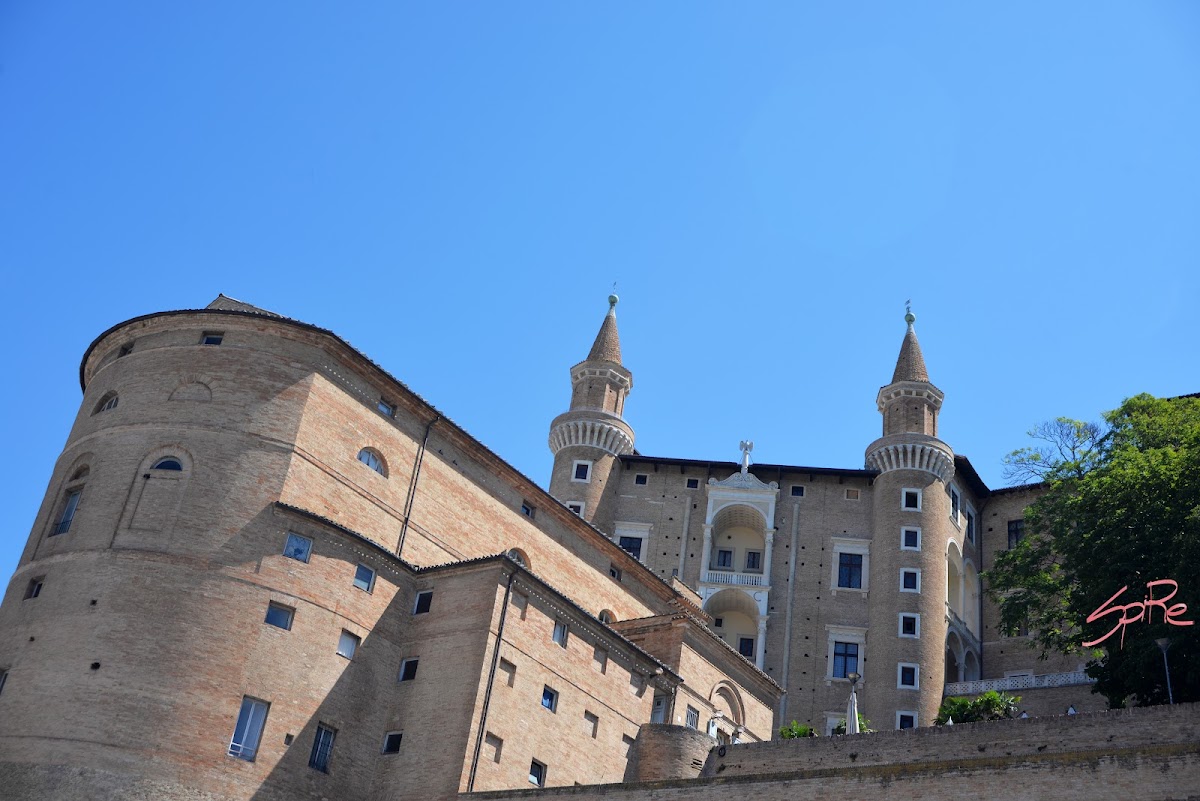 Guide Turistiche Urbino C 15 — Punto di interesse a Urbino, Pesaro e Urbino