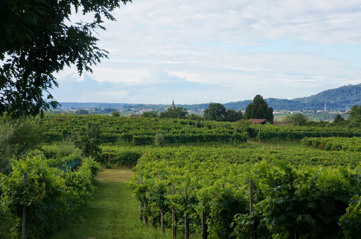 Azienda Agricola San Gregorio Valdobbiadene