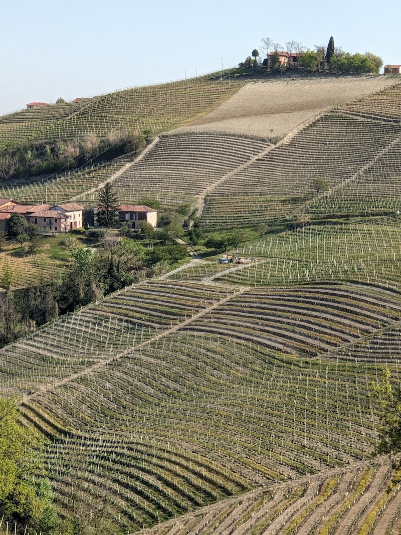 Rizzi azienda vitivinicola — Punto di interesse a Alba, Cuneo