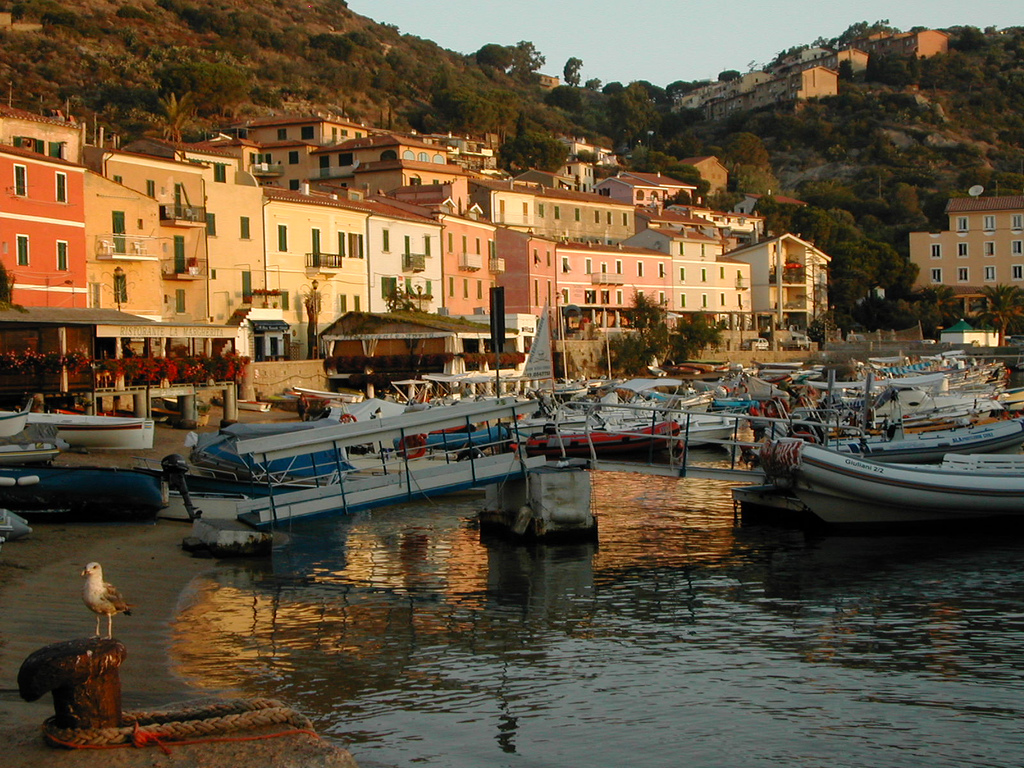 Isola del Giglio — Punto di interesse , Firenze