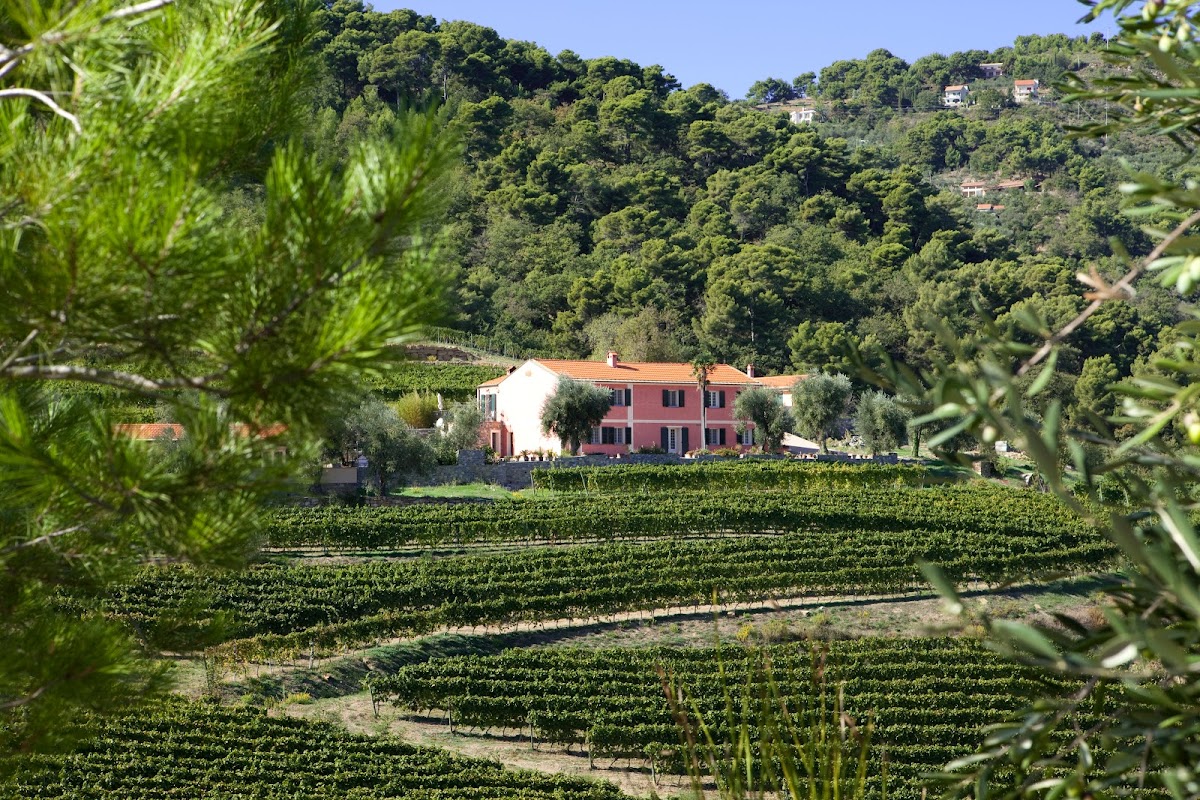 Azienda Agricola Maria Donata Bianchi(visite ed acquisti su appuntamento lun-sab)