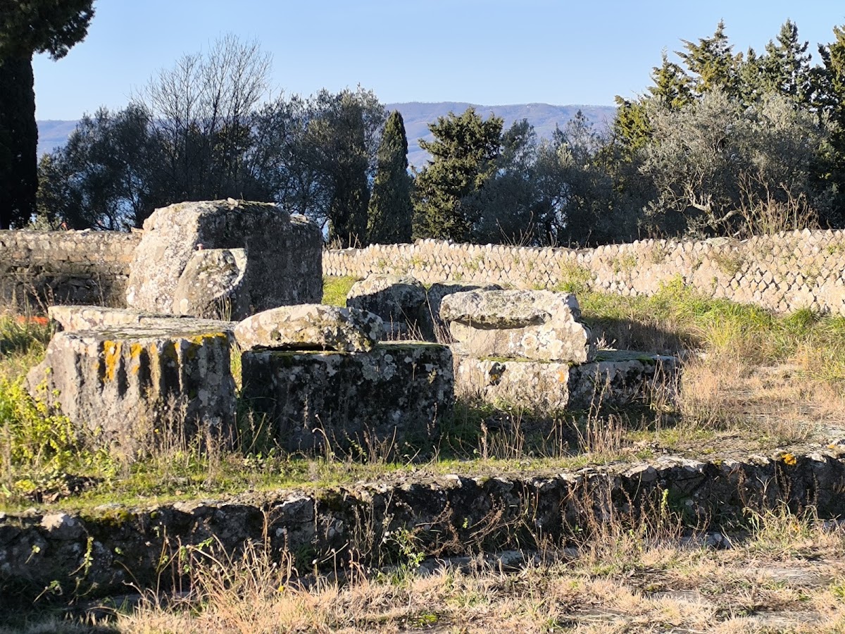 Volsinii — Punto di interesse , Firenze