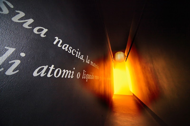 Wi.Mu. Museo del Vino a Barolo