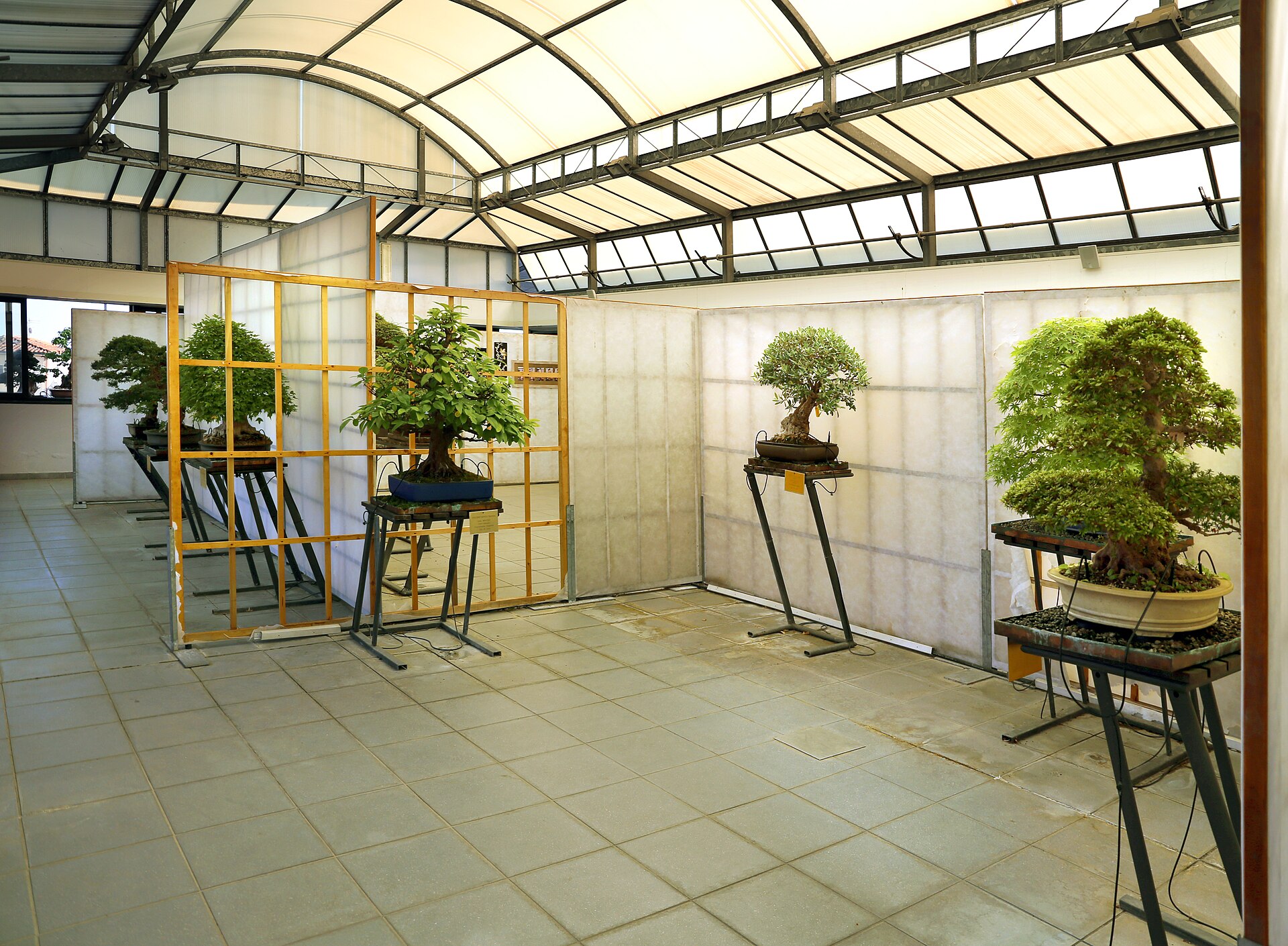museo del Bonsai — Punto di interesse , Milano