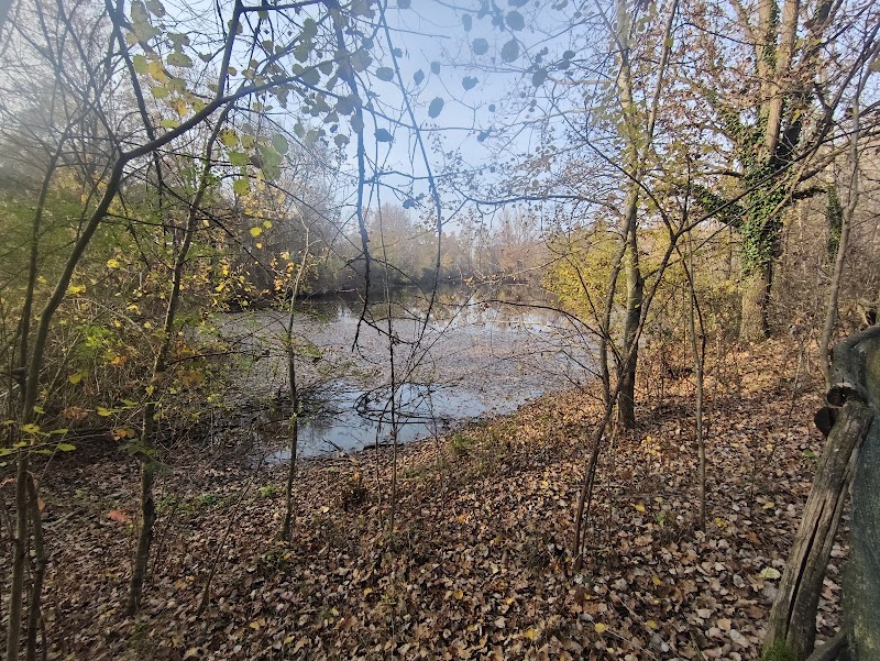 Parco Forestale Del Roero — Punto di interesse a Roero Hills, Cuneo