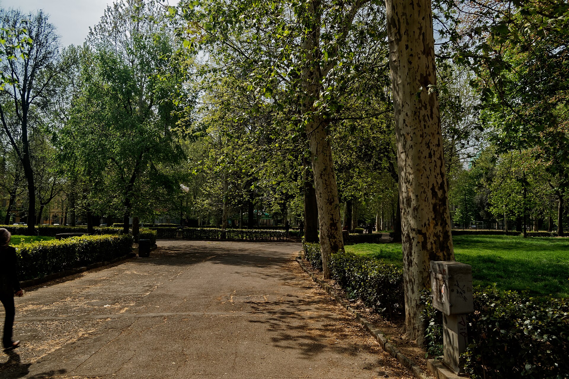 Piazza D'Azeglio — Punto di interesse a Firenze, Firenze