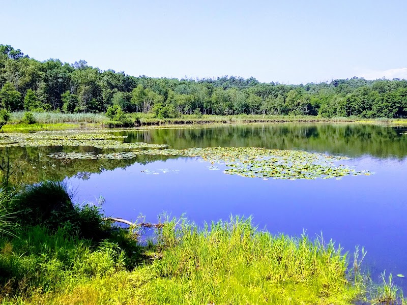 Parco dei Lagoni di Mercurago — Punto di interesse a Arona, Novara