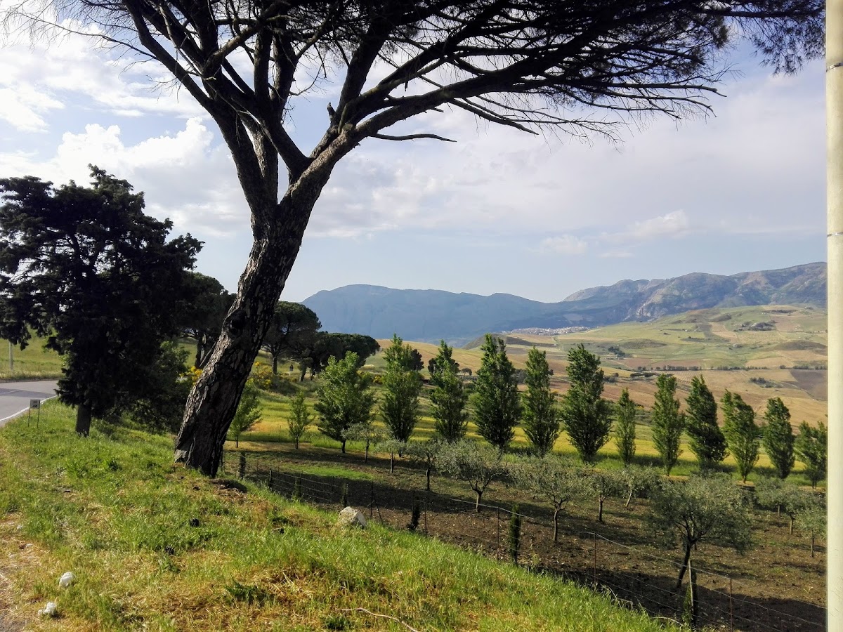Riserva naturale orientata geologica di Contrada Scaleri — Punto di interesse a Agrigento, Agrigento