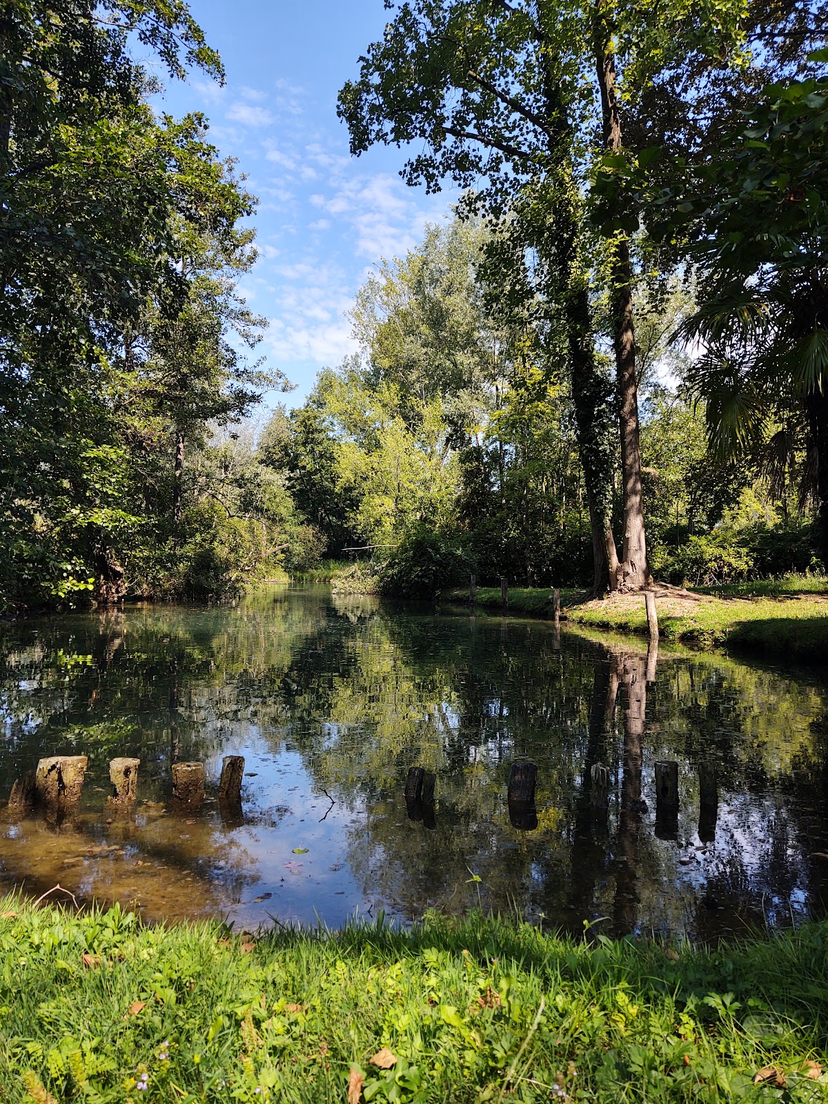 Parco Naturale Regionale del Fiume Sile — Bezienswaardigheid in Treviso, Treviso