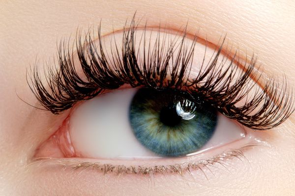 Michelle Wellness — Punto di interesse a Potenza, Potenza