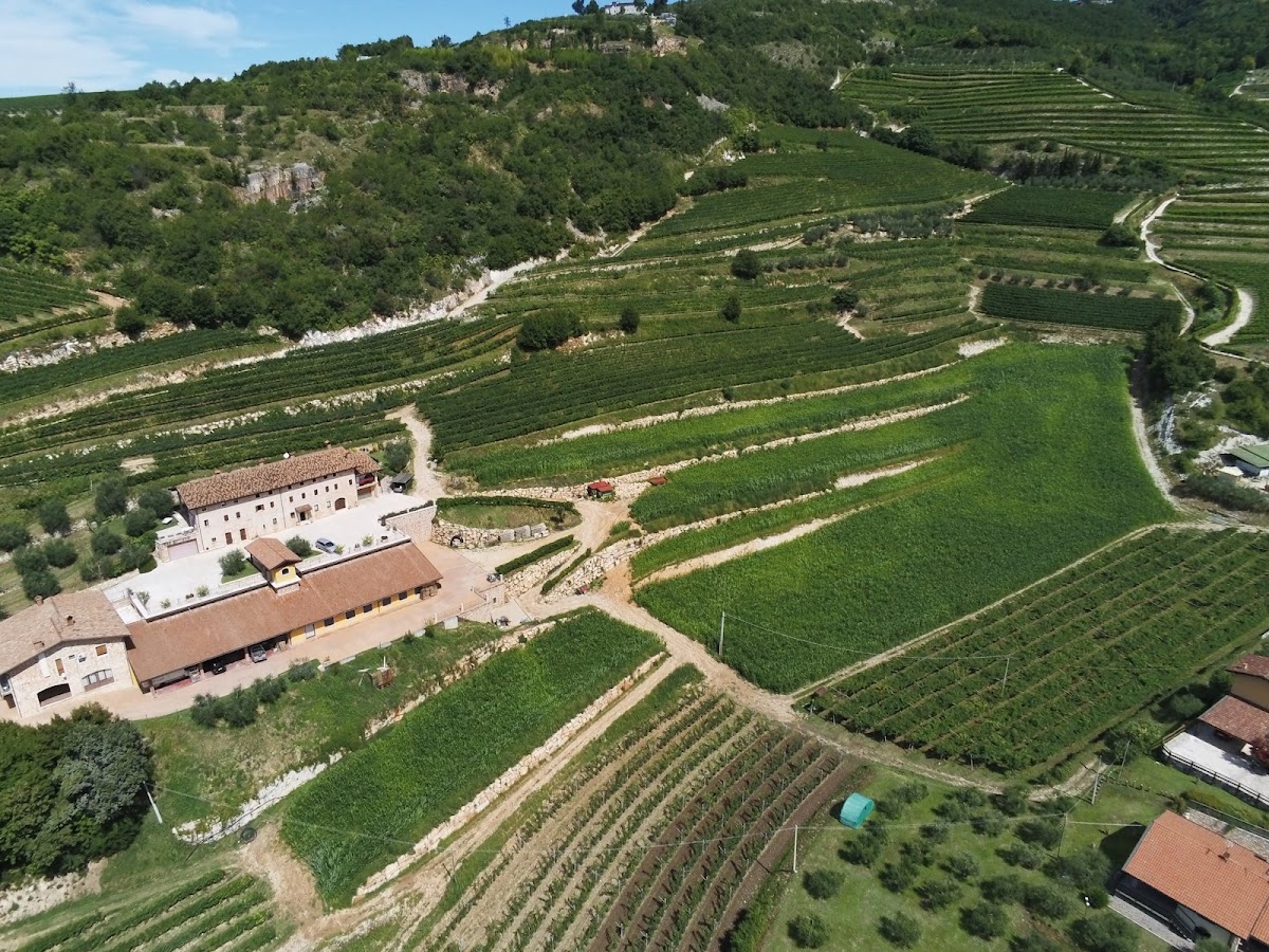 Azienda Agricola Boscaini Carlo — Punto di interesse a Verona, Verona