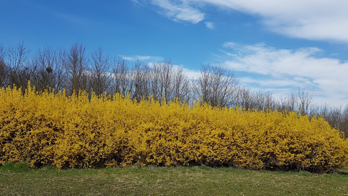 Parco di Montecucco — Punto di interesse a Piacenza, Piacenza