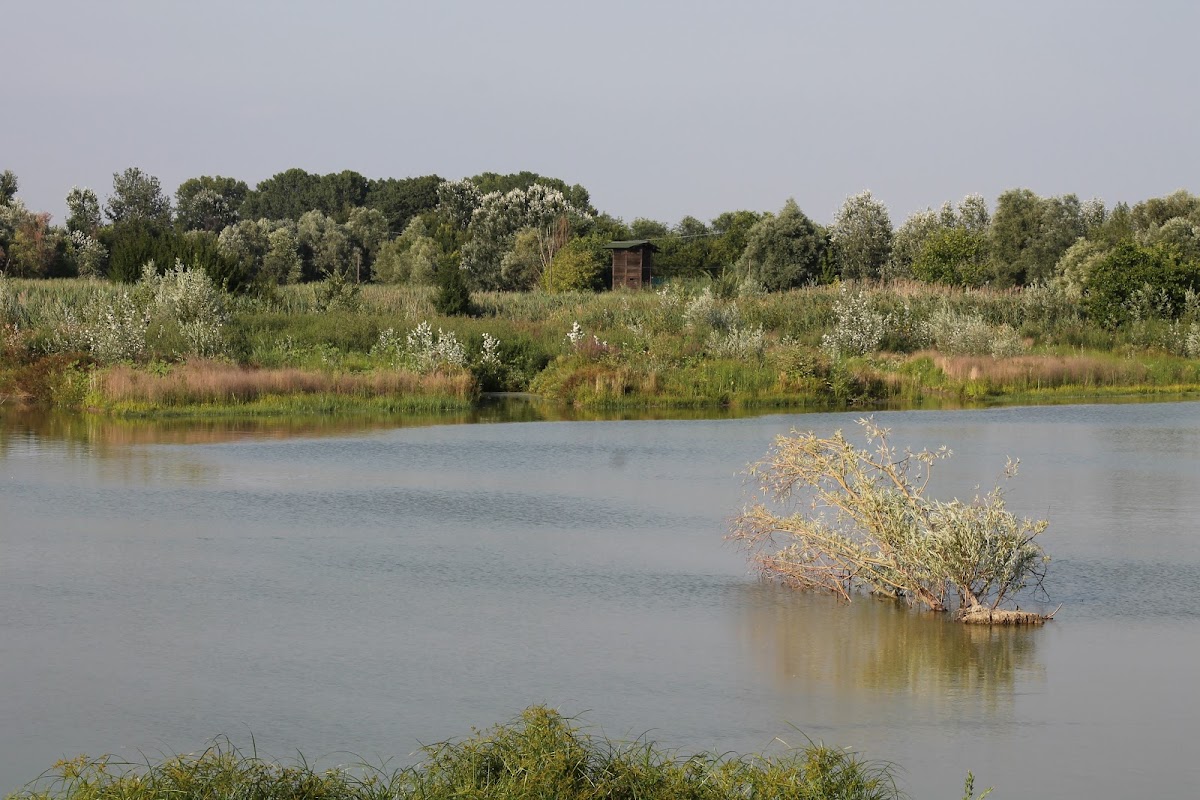Oasi La Rizza - Ex Risaia - Centro Visita — Punto di interesse a Ferrara, Ferrara