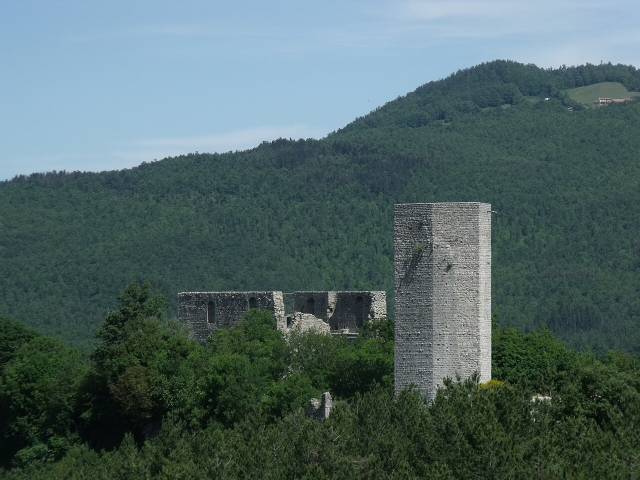 Rocca Silvana — Punto di interesse , Firenze