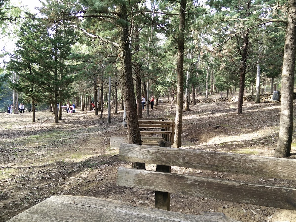 Bosco di Scorace — Punto di interesse a Trapani, Trapani