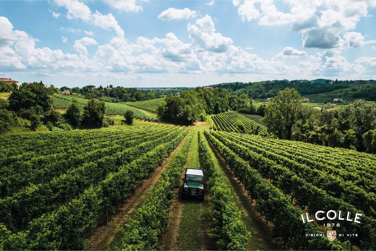 Prosecco Il Colle Wine — Punto di interesse