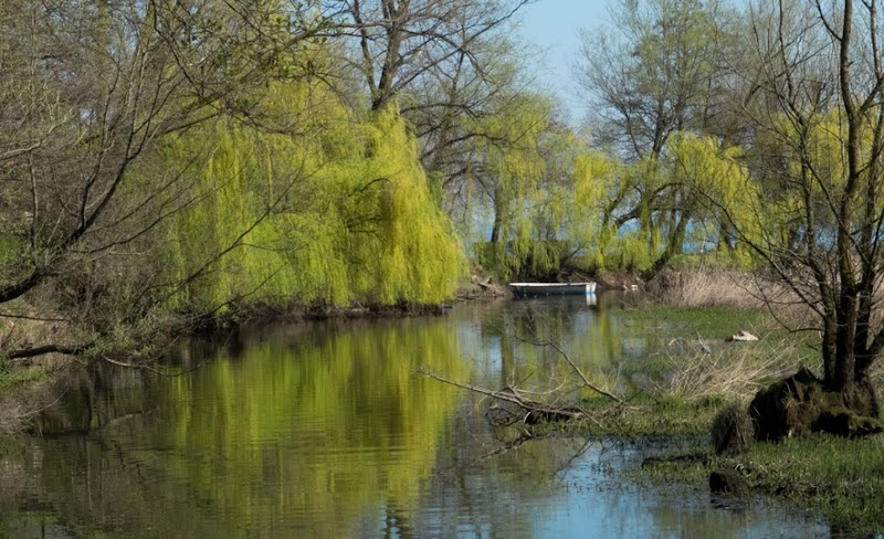 Riserva Naturale Speciale di Fondotoce