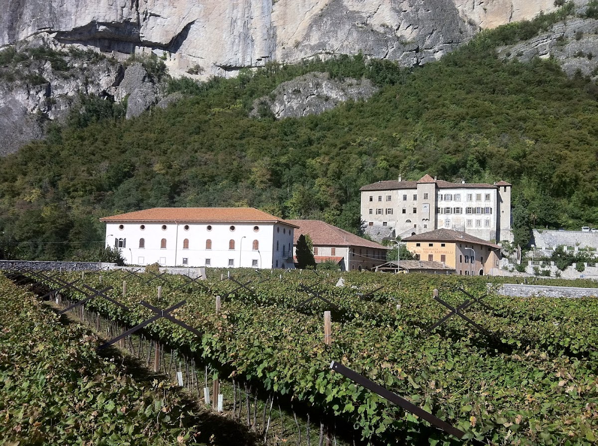 Cantina A. Martinelli 1860 — Punto di interesse a Trento, Trento