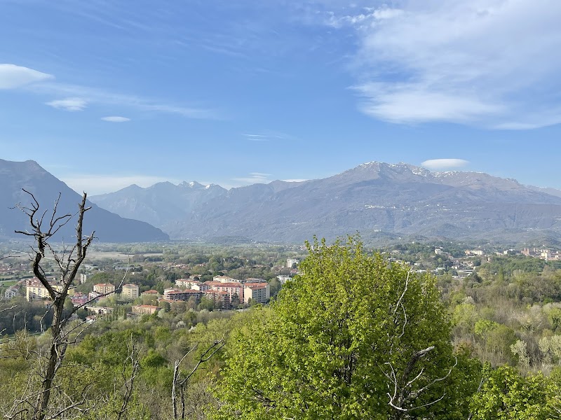 Paraj Auta
