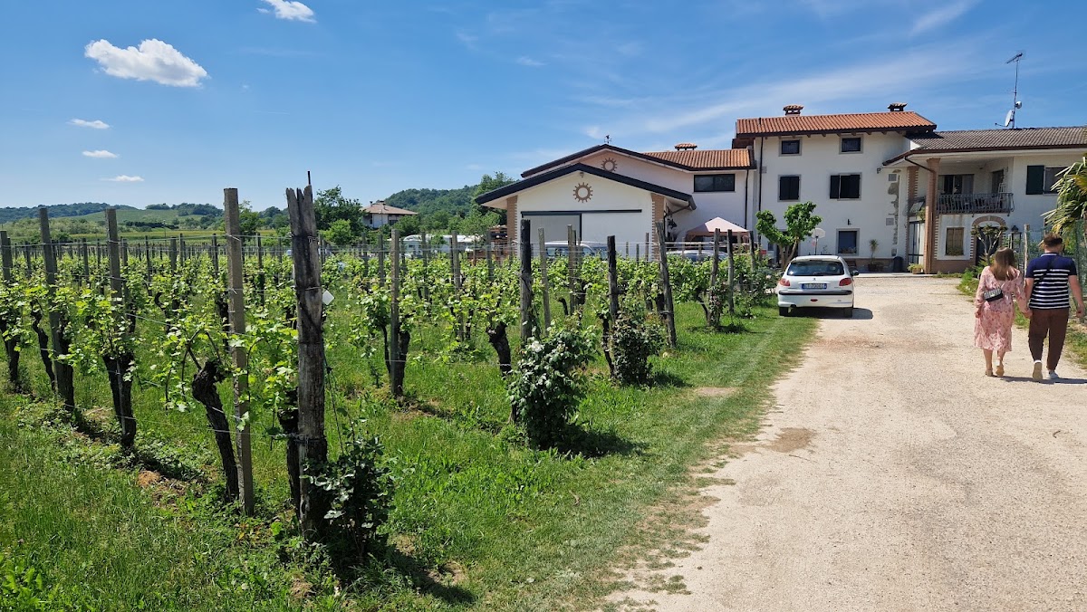 Agriturismo - Azienda Agricola - Scribano — Punto di interesse a Cormons, Gorizia