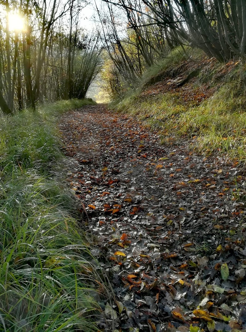 Sentiero Naturalistico del Boschetto