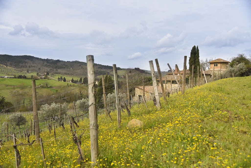 Montecalvi Winery — Punto di interesse a Greve in Chianti, Firenze