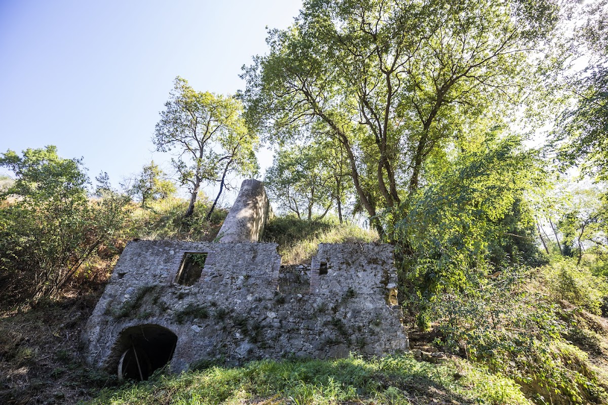 La Quercia nella Valle dei Mulini — Punto di interesse a Tropea, Vibo Valentia