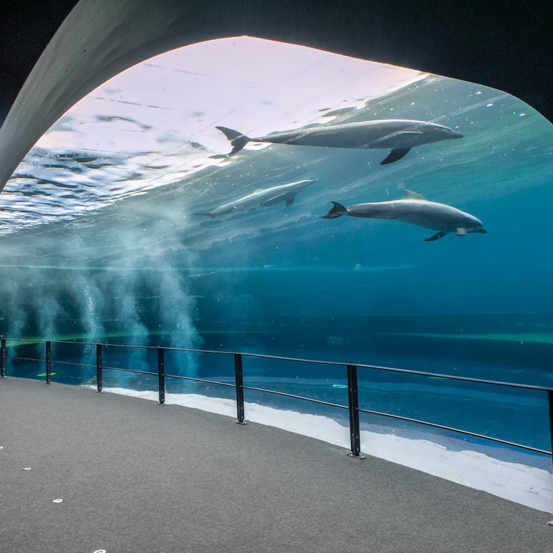 Acquario di Genova — Punto di interesse a Genova, Genova
