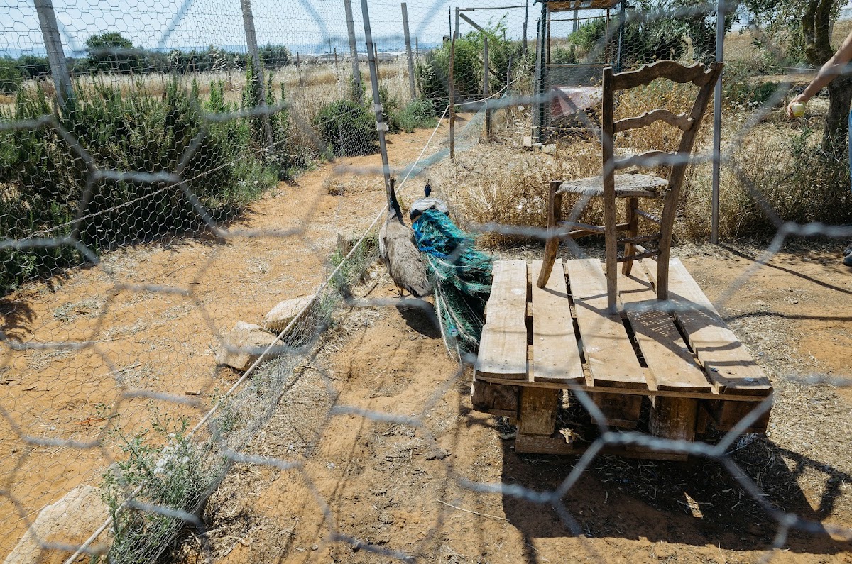 FaunaFlora azienda agricola biologica — Punto di interesse a Ragusa, Ragusa