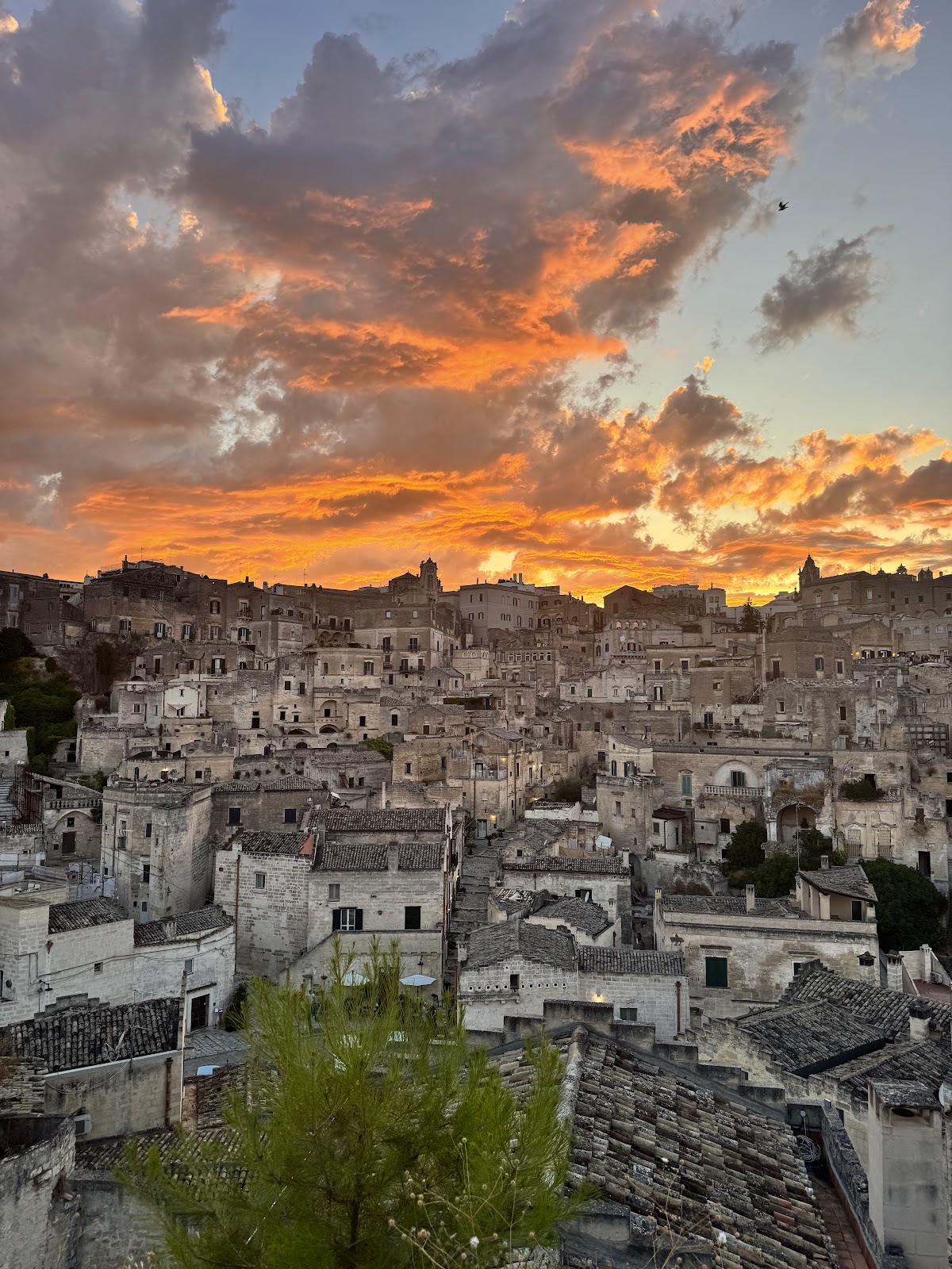 Area Camper Matera - Tenuta Lamacchia — Punto di interesse a Matera, Matera