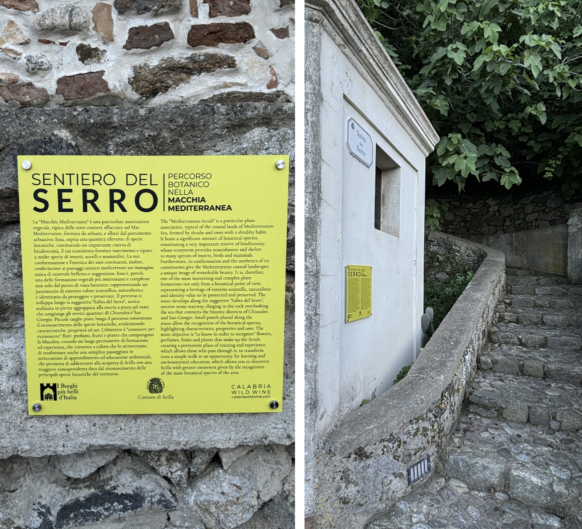 Sentiero del Serro - Percorso Botanico nella Macchia Mediterranea — Punto di interesse a Scilla, Reggio Calabria