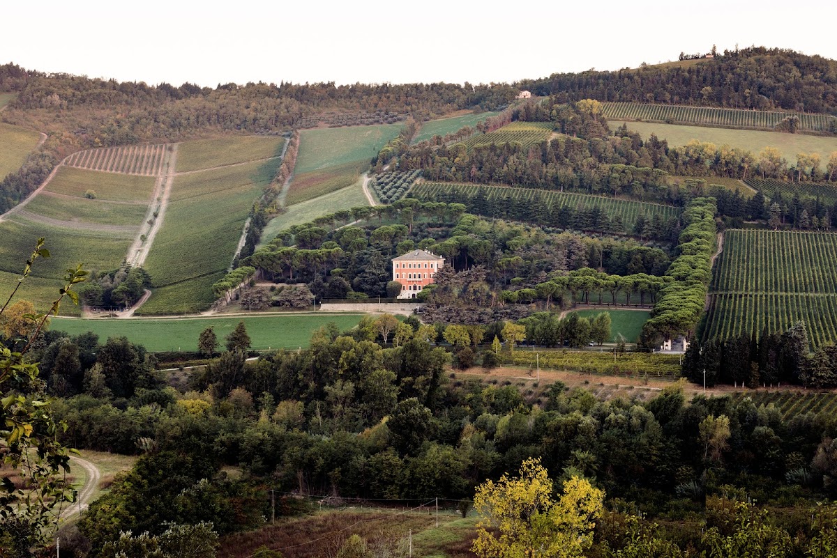 Azienda Agricola Pandolfa - Casa di Noelia — Punto di interesse a Forlì, Forlì-Cesena